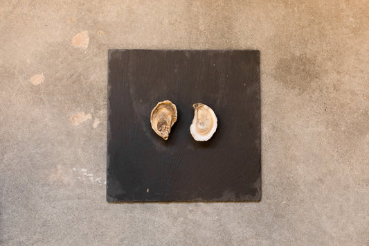 little bitches, oyster, oysters, fresh oyster, virginia oyster, oysters delivered