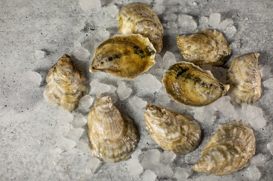 little bitches, oyster, oysters, fresh oyster, virginia oyster, oysters delivered