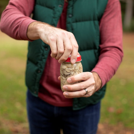 shucked oysters, oyster pint, pint of oysters, pint