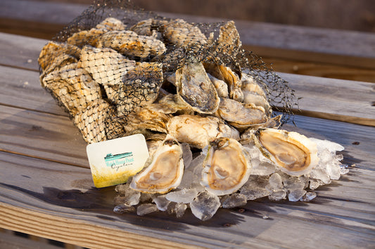 Watch House Point, Watch House Points, oyster, oysters, fresh oyster, virginia oyster, oysters delivered